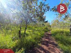 ขายที่ดินพร้อมสวน เนื้อที่ 19 ไร่ 1 งาน 50 ตร.วา เซกา บึงกาฬ-202510231233511761197631264.jpg