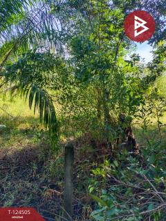 ขายที่ดินพร้อมสวน เนื้อที่ 19 ไร่ 1 งาน 50 ตร.วา เซกา บึงกาฬ-202510231233531761197633467.jpg