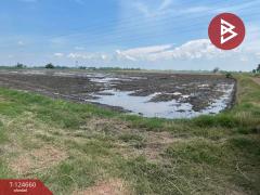 ขายที่ดิน เนื้อที่ 30 ไร่ บางน้ำเปรี้ยว ฉะเชิงเทรา