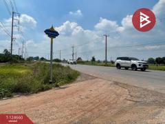 ขายที่ดิน เนื้อที่ 30 ไร่ บางน้ำเปรี้ยว ฉะเชิงเทรา-202510231243181761198198920.jpg