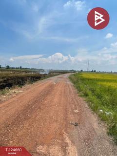 ขายที่ดิน เนื้อที่ 30 ไร่ บางน้ำเปรี้ยว ฉะเชิงเทรา-202510231243201761198200896.jpg