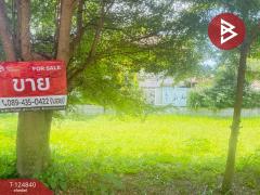 ขายที่ดิน-เนื้อที่-1-งาน-25-ตารางวา-หมู