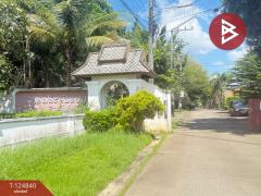 ขายที่ดิน เนื้อที่ 1 งาน 25 ตารางวา หมู่บ้านธารดง เฟสธารประดับดอยวิลล่า เชียงใหม่-202510231357161761202636323.jpg