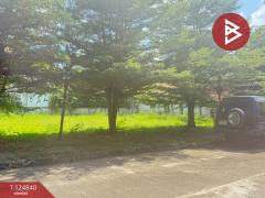 ขายที่ดิน เนื้อที่ 1 งาน 25 ตารางวา หมู่บ้านธารดง เฟสธารประดับดอยวิลล่า เชียงใหม่-202510231357171761202637168.jpg