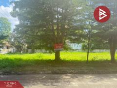 ขายที่ดิน เนื้อที่ 1 งาน 25 ตารางวา หมู่บ้านธารดง เฟสธารประดับดอยวิลล่า เชียงใหม่-202510231357171761202637723.jpg