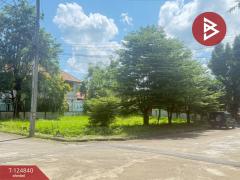 ขายที่ดิน เนื้อที่ 1 งาน 25 ตารางวา หมู่บ้านธารดง เฟสธารประดับดอยวิลล่า เชียงใหม่-202510231357181761202638280.jpg