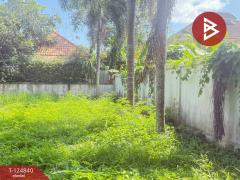 ขายที่ดิน เนื้อที่ 1 งาน 25 ตารางวา หมู่บ้านธารดง เฟสธารประดับดอยวิลล่า เชียงใหม่-202510231357191761202639950.jpg