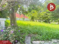 ขายที่ดิน เนื้อที่ 1 งาน 25 ตารางวา หมู่บ้านธารดง เฟสธารประดับดอยวิลล่า เชียงใหม่-202510231357211761202641084.jpg