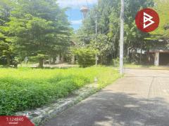 ขายที่ดิน เนื้อที่ 1 งาน 25 ตารางวา หมู่บ้านธารดง เฟสธารประดับดอยวิลล่า เชียงใหม่-202510231357211761202641642.jpg