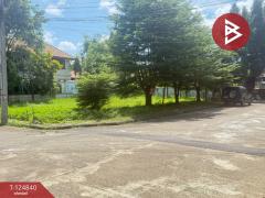 ขายที่ดิน เนื้อที่ 1 งาน 25 ตารางวา หมู่บ้านธารดง เฟสธารประดับดอยวิลล่า เชียงใหม่-202510231357221761202642193.jpg