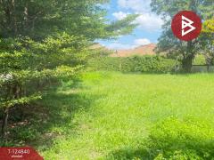 ขายที่ดิน เนื้อที่ 1 งาน 25 ตารางวา หมู่บ้านธารดง เฟสธารประดับดอยวิลล่า เชียงใหม่-202510231357221761202642745.jpg