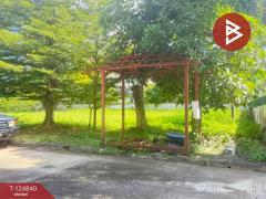 ขายที่ดิน เนื้อที่ 1 งาน 25 ตารางวา หมู่บ้านธารดง เฟสธารประดับดอยวิลล่า เชียงใหม่-202510231357231761202643303.jpg