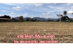 ขายที่ดินเปล่า 3 ไร่ ชะอำ เพชรบุรี ที่สวย ใกล้หัวหิน-202510231407101761203230445.jpg