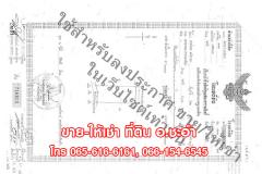 ขายที่ดินเปล่า 3 ไร่ ชะอำ เพชรบุรี ที่สวย ใกล้หัวหิน-202510231407111761203231128.jpg