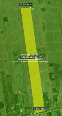 พื้นที่ดิน ขายที่ดินทุ่งนาแปลงใหญ่ติดถนนใหญ่ อ.วังทอง จ.พิษณุโลก 53-3-98 ไร่, 11,878,900 บาท  เงียบสงบ เป็นที่ดินทรงสี่เหลี่ยมผืนผ้าแปลงใหญ่ ติดถนนลาดยาง (กว้าง 6 ม.) เหมาะสำหรับคนที่ต้องการนำไปพัฒนาโครงการสไตล์โคกหนองนา และบ้านสวนท่ามกลางธรรมชาติ