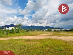 ขายที่ดิน เนื้อที่ 6 ไร่ 1 งาน 77 ตร.วา คลองนารายณ์ จันทบุรี-202510231426251761204385248.jpg