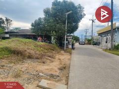 ขายที่ดิน เนื้อที่ 6 ไร่ 1 งาน 77 ตร.วา คลองนารายณ์ จันทบุรี-202510231426251761204385871.jpg