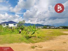 ขายที่ดิน เนื้อที่ 6 ไร่ 1 งาน 77 ตร.วา คลองนารายณ์ จันทบุรี-202510231426261761204386936.jpg