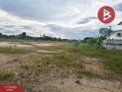 ขายที่ดิน เนื้อที่ 6 ไร่ 1 งาน 77 ตร.วา คลองนารายณ์ จันทบุรี-202510231426291761204389648.jpg