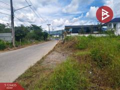 ขายที่ดิน เนื้อที่ 6 ไร่ 1 งาน 77 ตร.วา คลองนารายณ์ จันทบุรี-202510231426301761204390170.jpg