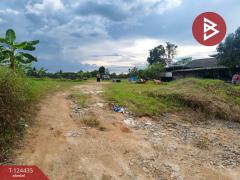 ขายที่ดิน เนื้อที่ 6 ไร่ 1 งาน 77 ตร.วา คลองนารายณ์ จันทบุรี-202510231426301761204390794.jpg