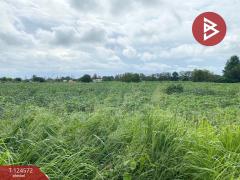 ให้เช่าที่ดิน เนื้อที่ 7 ไร่ 1 งาน 54.3 ตารางวา บางละมุง ชลบุรี-202510231532031761208323831.jpg