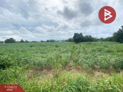 ให้เช่าที่ดิน เนื้อที่ 7 ไร่ 1 งาน 54.3 ตารางวา บางละมุง ชลบุรี-202510231532041761208324874.jpg