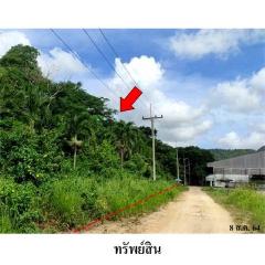 ขายที่ดินว่างเปล่า ถนน สายบางละมุง-ระยอง (ทล.36) ตำบล มะขามคู่ อำเภอ นิคมพัฒนา จังหวัด ระยอง
