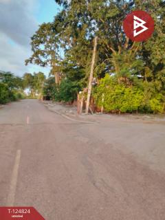 ขายที่ดินพร้อมสิ่งปลูกสร้าง เนื้อที่ 5 ไร่ ปากช่อง นครราชสีมา-202510231610081761210608494.jpg