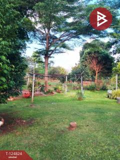 ขายที่ดินพร้อมสิ่งปลูกสร้าง เนื้อที่ 5 ไร่ ปากช่อง นครราชสีมา-202510231610101761210610672.jpg