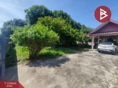 ขายบ้านเดี่ยวชั้นเดียว เนื้อที่ 200 ตารางวา อ.แปลงยาว ฉะเชิงเทรา-202510231610381761210638845.jpg