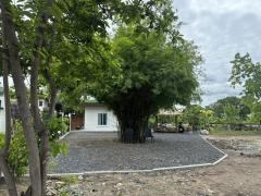 ขายที่ดินถมแล้ว1-2-75 ไร่ ย่านคู้บอนรามอินทรากม.8 วัชรพล ใกล้รถไฟฟ้าMRTคู้บอน