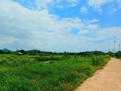 ขายดินสวย ติดถนน วิวภูเขา อำเภอบ้านไร่ อุทัยธานี  เหมาะอยู่อาศัย ทำบ้านสวน