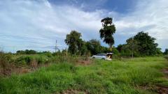 ขายถูกที่สุด‼️ที่ดินติดถนนโนนไทย-ขามสะแกแสง 14-3-47 ไร่ เหมาะลงทุน และทำธุรกิจ ต.มะค่า อ.โนนไทย จ.นครราชสีมา 095-879-4465-202510231859531761220793171.jpeg