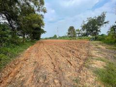 ขายที่ดินเปล่า ติดถนนลาดใหญ่ เมืองชัยภูมิ 