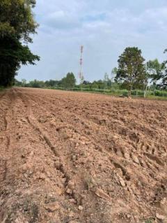 ขายที่ดินเปล่า ติดถนนลาดใหญ่ เมืองชัยภูมิ -202510231903481761221028148.jpg