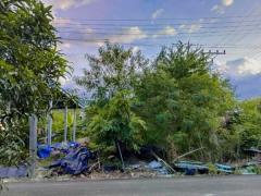 ขายที่ดินเปล่าเคหะคลอง 8 ติดสนาม ลานออกกำลังกาย ถมแล้ว น้ำ-ไฟฟ้าหน้าแปลง โทร 095-1653654-202510240943541761273834280.jpg