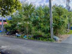 ขายที่ดินเปล่าเคหะคลอง 8 ติดสนาม ลานออกกำลังกาย ถมแล้ว น้ำ-ไฟฟ้าหน้าแปลง โทร 095-1653654-202510240943541761273834753.jpg