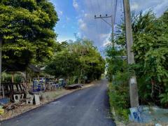 ขายที่ดินเปล่าเคหะคลอง 8 ติดสนาม ลานออกกำลังกาย ถมแล้ว น้ำ-ไฟฟ้าหน้าแปลง โทร 095-1653654-202510240943551761273835238.jpg