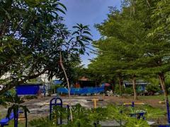 ขายที่ดินเปล่าเคหะคลอง 8 ติดสนาม ลานออกกำลังกาย ถมแล้ว น้ำ-ไฟฟ้าหน้าแปลง โทร 095-1653654-202510240943561761273836190.jpg