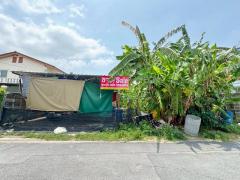 ขายที่ดินเปล่า ทำเลดีถมแล้ว ที่เปล่าพุทธมณฑลสาย 2 กรุงเทพ  ต.บางแคเหนือ อ.ภาษีเจริญ กรุงเทพฯ