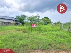 ขายที่ดิน เนื้อที่ 49.9 ตร.วา เหนือเมือง ร้อยเอ็ด