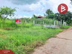 ขายที่ดิน เนื้อที่ 49.9 ตร.วา เหนือเมือง ร้อยเอ็ด-202510241026471761276407968.jpg