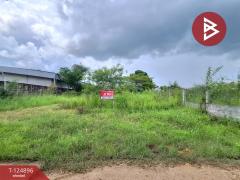 ขายที่ดิน เนื้อที่ 49.9 ตร.วา เหนือเมือง ร้อยเอ็ด-202510241026481761276408494.jpg