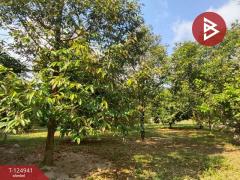 ขายที่ดิน เนื้อที่ 1 ไร่ 2 งาน 51 ตร.วา ท่าใหม่ จันทบุรี