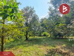 ขายที่ดิน เนื้อที่ 1 ไร่ 2 งาน 51 ตร.วา ท่าใหม่ จันทบุรี-202510241040311761277231182.jpg