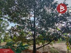 ขายที่ดิน เนื้อที่ 1 ไร่ 2 งาน 51 ตร.วา ท่าใหม่ จันทบุรี-202510241040321761277232287.jpg