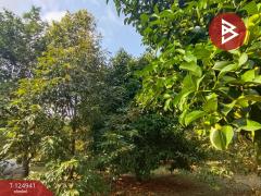 ขายที่ดิน เนื้อที่ 1 ไร่ 2 งาน 51 ตร.วา ท่าใหม่ จันทบุรี-202510241040341761277234459.jpg