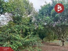 ขายที่ดิน เนื้อที่ 1 ไร่ 2 งาน 51 ตร.วา ท่าใหม่ จันทบุรี-202510241040351761277235005.jpg