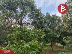 ขายที่ดิน เนื้อที่ 1 ไร่ 2 งาน 51 ตร.วา ท่าใหม่ จันทบุรี-202510241040351761277235560.jpg